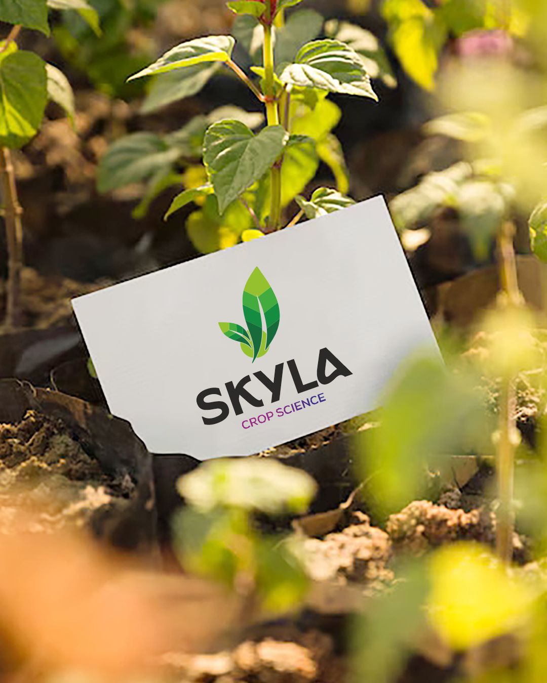 skylacropscience